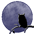 Owl & Moon